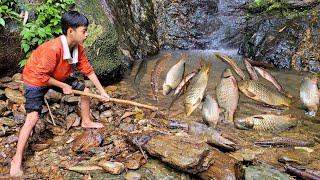 The boy drained the water on the big waterfall, caught big fish to sell.