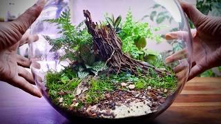 Fish Bowl Terrarium Anyone Can Build