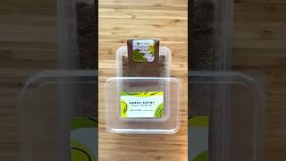 Вырастить микрозелень сможет каждый #микрозелень #microgreen