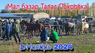 Мал базар Талас Покровка 1-Ноябрь 2024