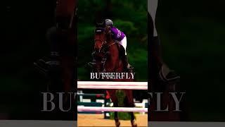 Choose your fighter🫵 #horse #equestrianjourney #horseedit #equestrian #horseedit #equestrianedit