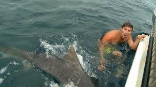 SHARK ATTACK NEAR MISS GOLD COAST