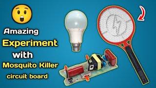 Amazing Experiment with Mosquito killer Circuit Board || High Voltage Generator || Mini Inverter