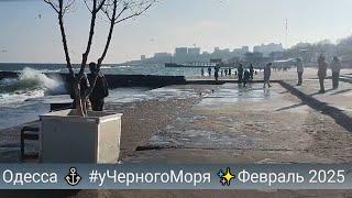 Одесса  #уЧерногоМоря Февраль 2025