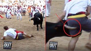 High Speed Bull Attack - Whacked Out TV