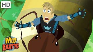 Leafcutter Ant Soldier Captures Martin! | Wild Kratts