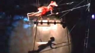 Tatiana Afanasieva (female trapeze)
