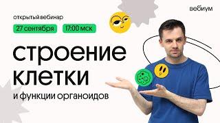 Строение клетки. Биология ЕГЭ. Даниил Дарвин. Вебиум