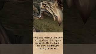 Scavenger - Fantasy Bestiary #1