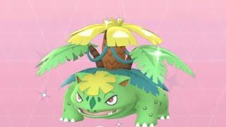 Shiny Venusaur Mega Evolution