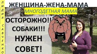 Собаки у соседей!!! Что делать? Женщина-Жена-Мама Лидия Савченко