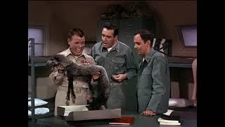 Gomer Pyle, U.S.M.C.: Season 3, Episode 4:   Caution   Low Overhead