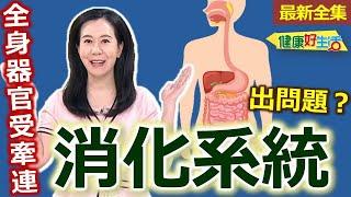 健康好生活  20241016  換季「消化系統」出問題？全身器官受牽連！？