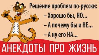 Самые смешные анекдоты про жизнь в России в картинках и без мата - подборка первая