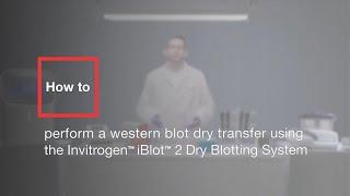How to perform a western blot dry transfer using the Invitrogen iBlot 2 Dry Blotting System
