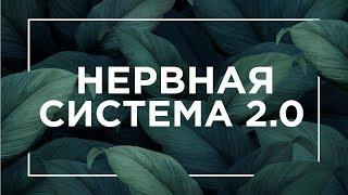 Что такое Нервная система 2.0 | ЕГЭ Биология | Даниил Дарвин