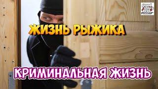 ЖИЗНЬ РЫЖИКА ВЫСТАВИЛ КВАРТИРУ