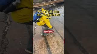 Day 4 #fishing #fishingbait #bassfishing