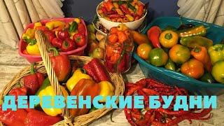 ДЕРЕВЕНСКИЕ БУДНИ. КОРЮШКА, ПИРОГ, СУП ЛАПША вкусные выходные