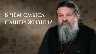 В ЧЁМ СМЫСЛ ЖИЗНИ? о. Андрей Лемешонок