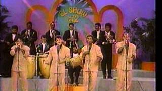Los hijos de PR..sabroso.