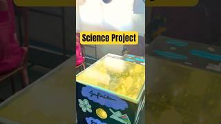 Ray Optics Explain With 3d Model #science #scienceproject #shorts