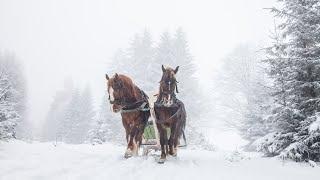 Celtic Christmas Carols, Soft Holiday Christmas Music "Snowy Winter Sleigh Ride "Open Road Folk"