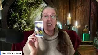 Predictions for December 2024/2025 and Beyond! #TarotcardReading #remoteviewing