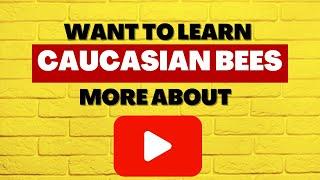 Are Caucasian Honey Bees Right For You?