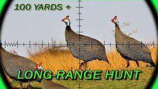 Long-Range Airgun | FX Crown MK2 | Furiosa | 21gr Slugs | Guineafowl | Airgun Pest Control