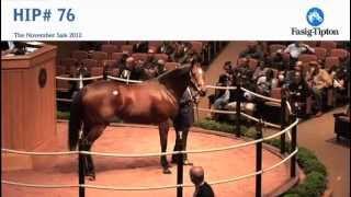 Havre de Grace sells for $10,000,000 at Fasig-Tipton November Sale