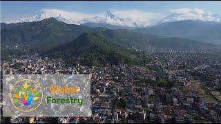 The GloFor MSc program: Forestry All Over the World