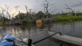 Scary Stuff In The Florida Keys Backcountry.  Fish at your own risk.