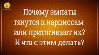 Почему эмпаты притягивают нарциссов, а нарциссы притягивают эмпатов?