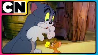 Tom and Jerry  | Feline’s Fiery Mission! | #compilation | #catandmouse | @cnindia