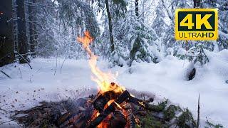  Cozy Campfire in the Winter Forest (12 HOURS). Campfire Ambience with Crackling Fire Sounds