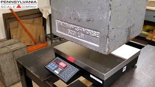 Central Carolina Scale Counting Scale Q&A Live Stream