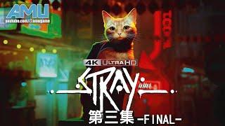 浪貓:Stray 劇情攻略 (3) 蟻村、中城、監獄、控制室 Final