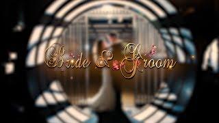 You Must have this Wedding Title template | After Effects Template | Free Download