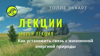 Экхарт Толле Лекции ️ Как установить связь с жизненной энергией природы