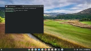 ChromeOS | Linux Development Environment | fix “no remote refs found similar to flathub” error