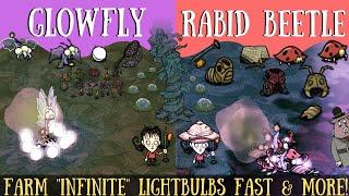 Don't Starve Hamlet Guide: Glowflies & Rabid Beetles - "INFINITE" Lightbulb/Chitin Farms!