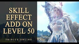 Skill Add On Beginners Guide for Players Leveling to 50 Black Desert BDO new player tutorial