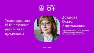 Лекция "Теломеразная РНК в теломеразе и за ее пределами" Ольги Донцовой