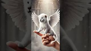 "Realistic Mini White Lion on a Thumb" Yayad Babah #fantasy #trending #shorts #animals #funny #cute