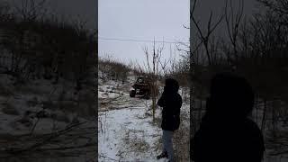 баги. off road в лесу возле Алтестово #shorts