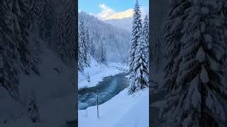 This Place Looks Straight Out of a Fairytale! ️ | Betaab Valley, Kashmir #valley #sonmarg #dallake