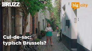 Waarom zijn steegjes typisch Brussels? | Big City