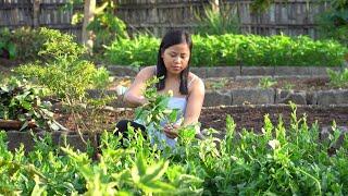 BOUNTIFUL HARVEST | Harvesting veggies to sell