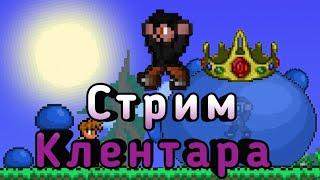 Клентар в прямом эфире!